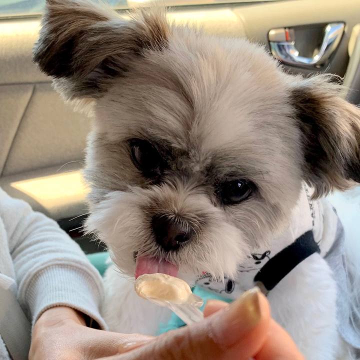 36494bad c78e 4ad0 bf14 8190d195e834 1556449413237