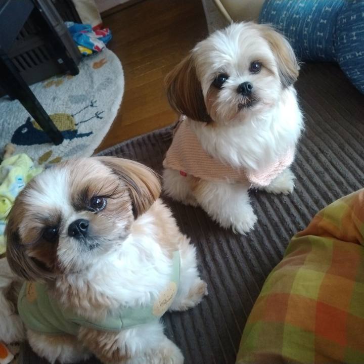 36495a3f 721c 4492 93b6 5d1e6dcb5471 1671758877466