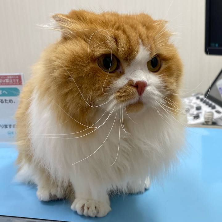 36497b94 e3b5 4096 8798 ee787c2a936f 1654821011885