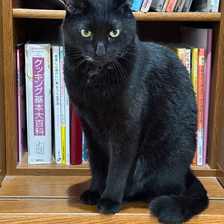 364983ac 32f5 48e0 a945 3c24b9b20ddc 1763166633263