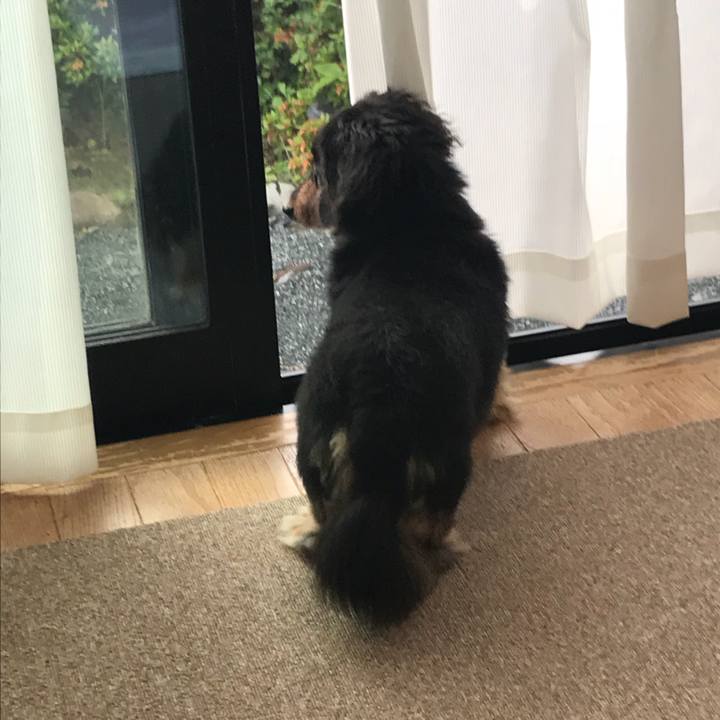 3649840b 2990 4971 b123 a6c2665486a4 1530741910644