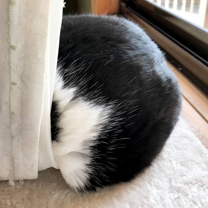 3649a07e 14a9 4935 9559 8fe240e771b2 1519432614373