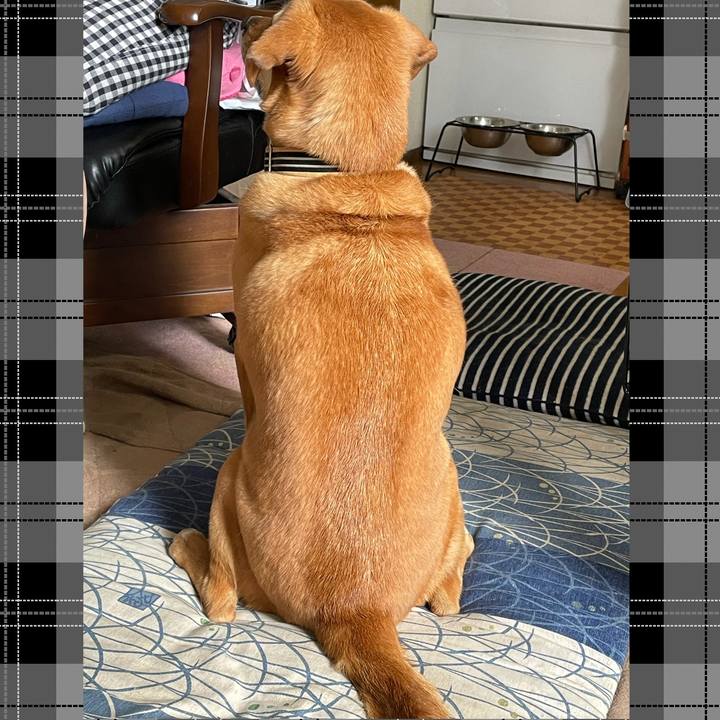 3649db24 4f1d 43fe ba90 12fafd2bcf1c 1627452399920