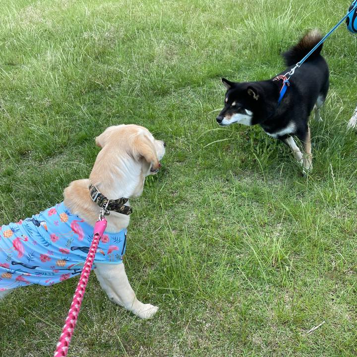 364a0e8c c23f 4b85 9e81 53c63396d1d7 1621669452660