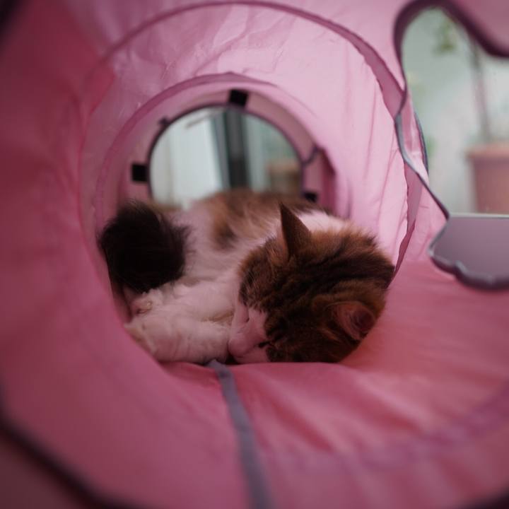 364a510c a097 43a7 85f2 6ef17d85c150 1594269055101