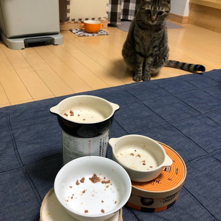 364a92fe 8dd8 4b2b a9b5 facbe8e29160 1569755529658