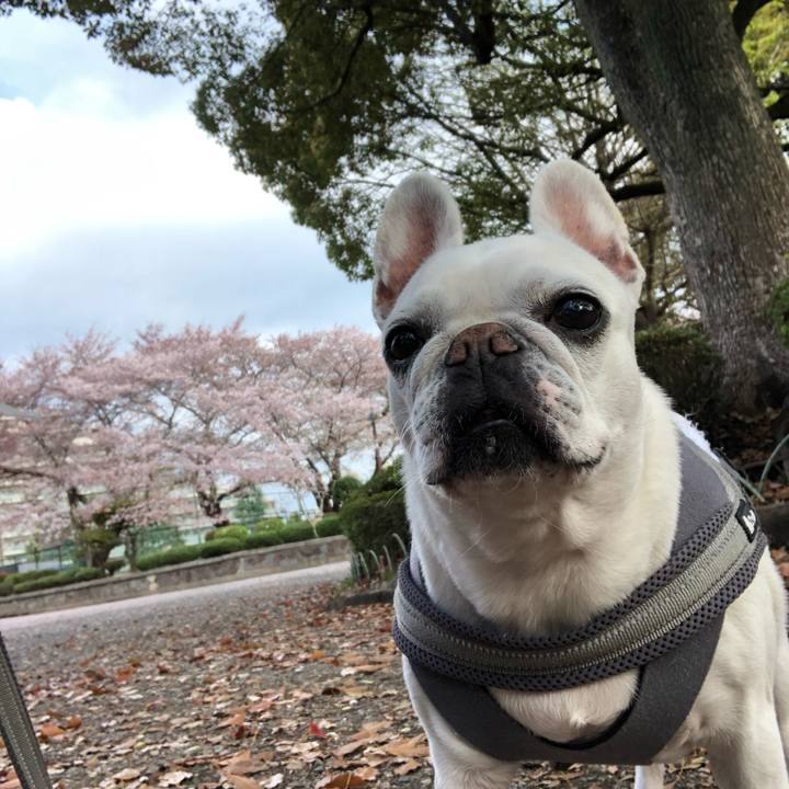 364af614 1c9e 425b 93e5 d1b58a3548ef 1680494926099