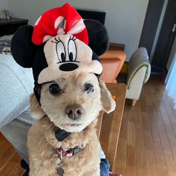 364af854 9e58 484c 8485 6a119a05a9c4 1604116646597