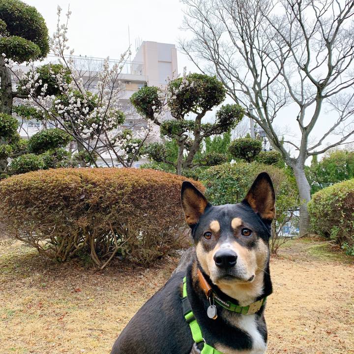 364b477e c837 4aac 9b59 4e436d98d35e 1581756647948