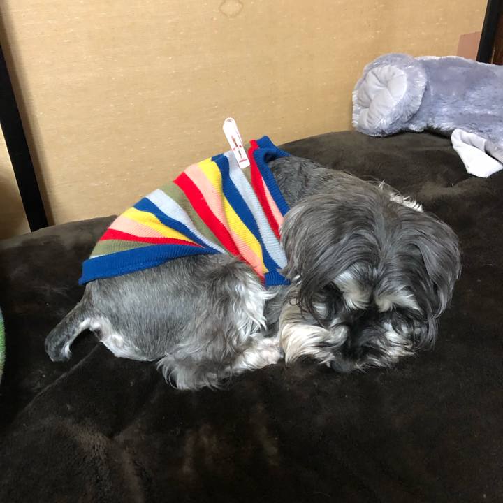 364b84b7 9ec6 45d3 a634 dec72ac0136c 1553353113623