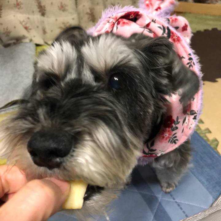 364bfb48 4e87 47bc 8402 c4ab0126e067 1704714916126