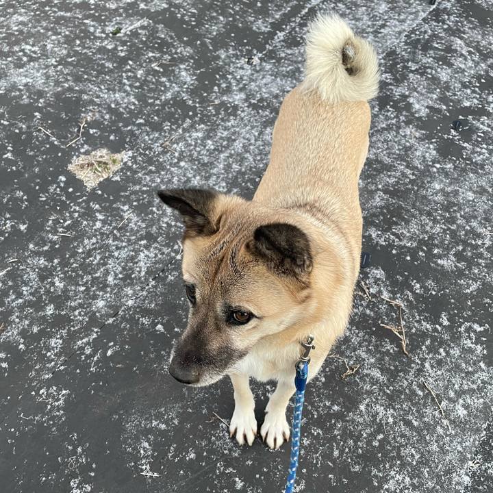 364c7ca1 954f 4454 a10e 50686495d84c 1640607733984