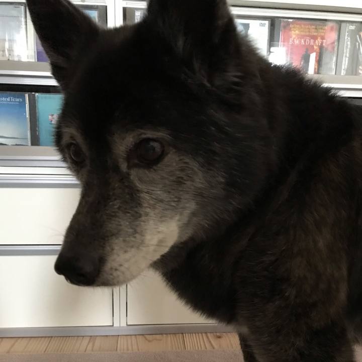 364cb205 f505 41ca a1f5 9f39a8ff61ca 1662163777878