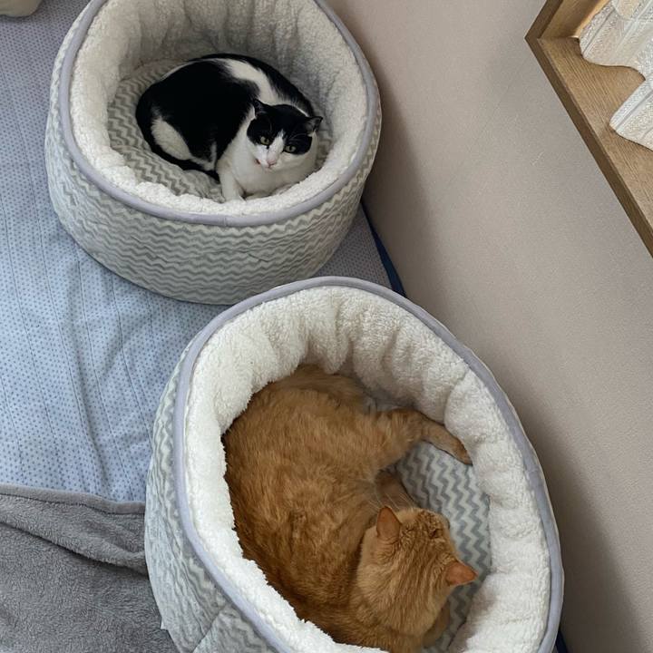 364ce7ba bbcc 4dc5 9f1a fcb4a40d30af 1636593512527