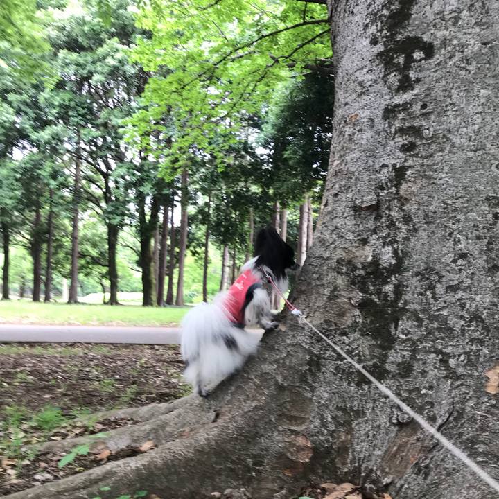 364cf0c9 70ea 4d9b 9a50 2b569b81b707 1527498550531