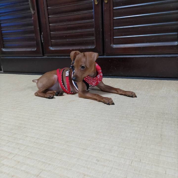 364cf60a 66bb 4249 90a1 4ab2e05f3bdf 1668476318213