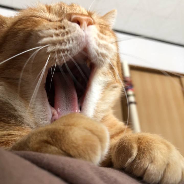 364d0036 2d9f 4663 a366 5713782571b5 1614381542938