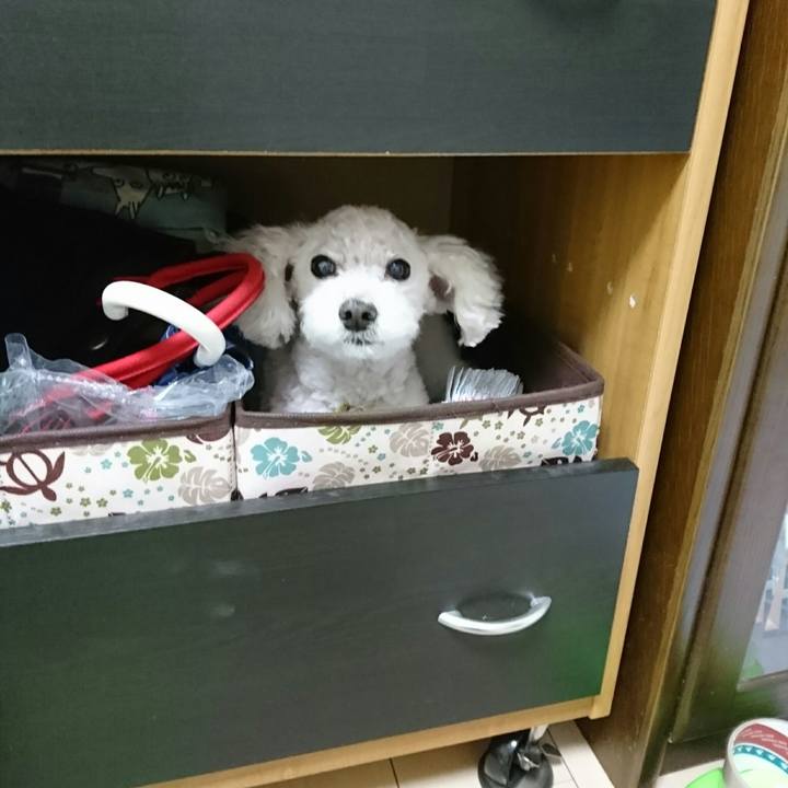 364d139c 2507 45e7 894d 723e3309d572 1547429161669