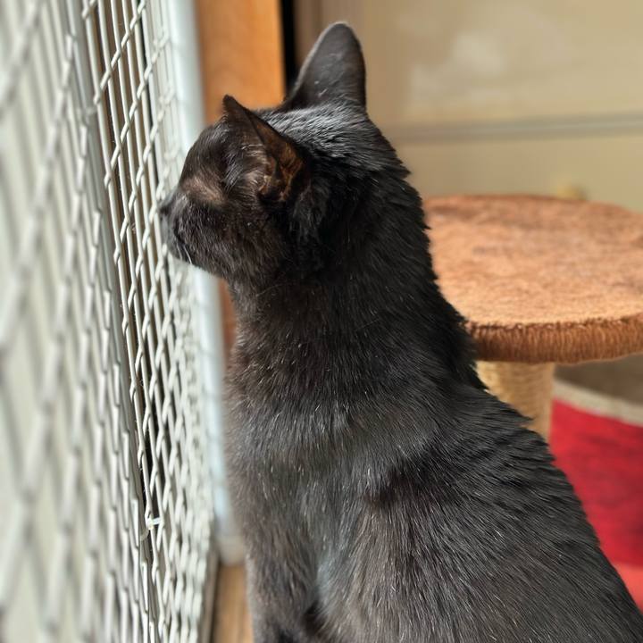 364d1467 ab3f 42d7 a417 1ffbbc0b3f9f 1696383122527