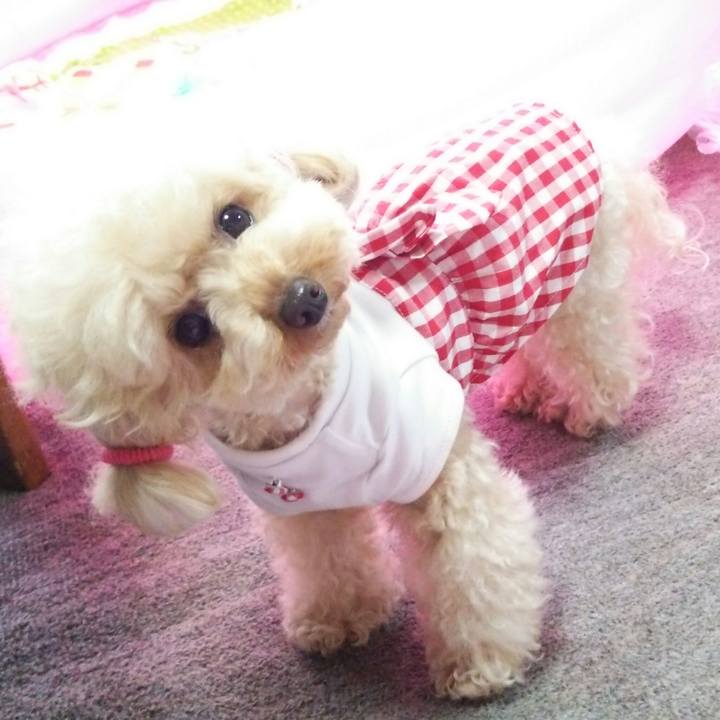 364d2aa3 d5c5 4eaf aeec 15939e1b46a3 1531142333547