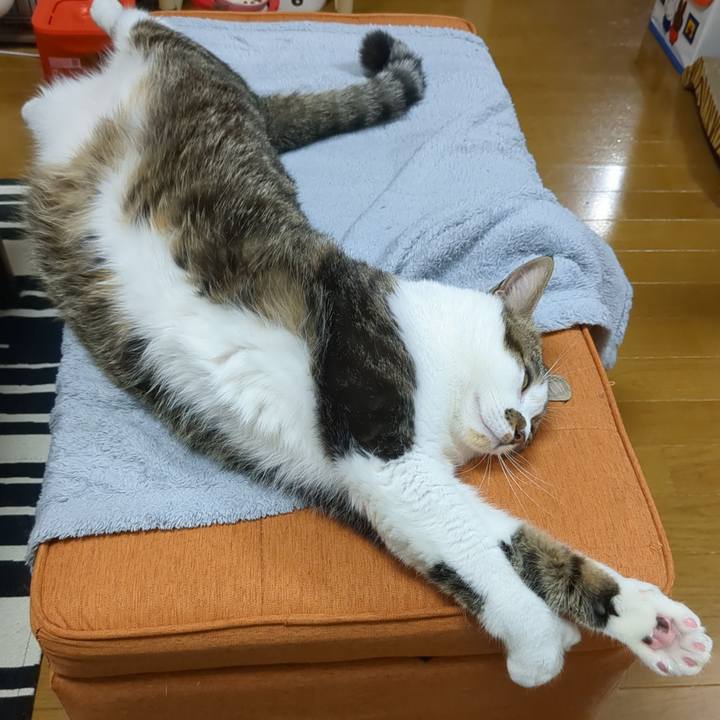 364db341 c2f1 448a b595 78adbf58fc01 1669015521401