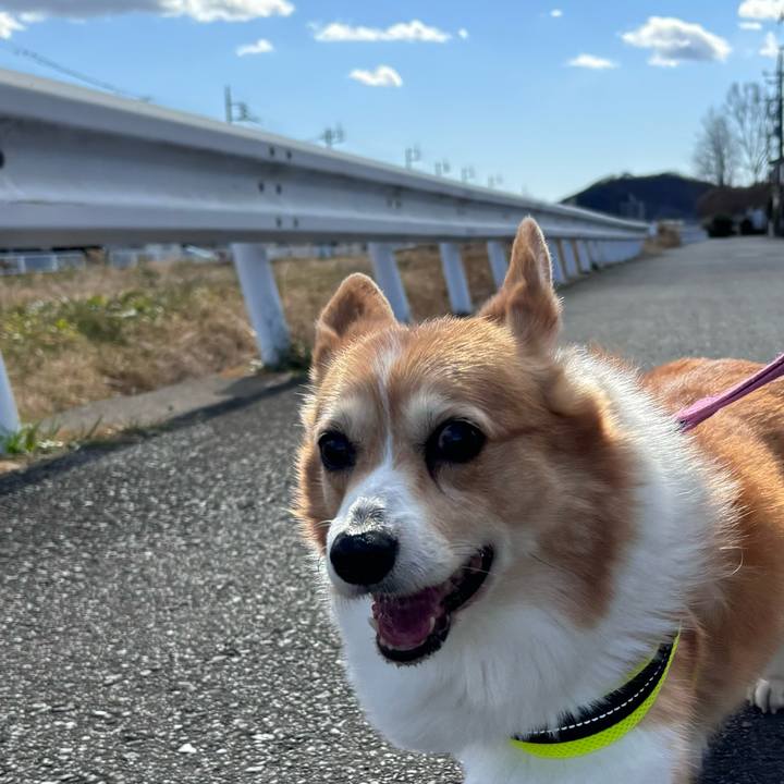 364dcd37 5c0a 4ceb 8810 1525d531e7a1 1739159406807