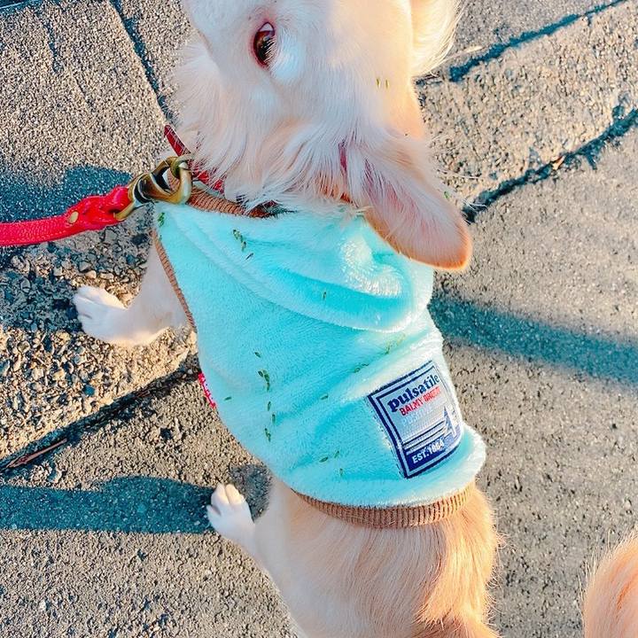 364deaf7 8ca2 44aa 8ecf 90bdb29a5f27 1634726001592