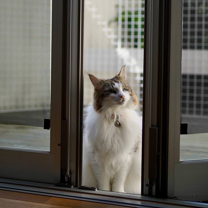 364e0379 ce10 44e0 9ac4 9a8a22fbac3e 1697170984273