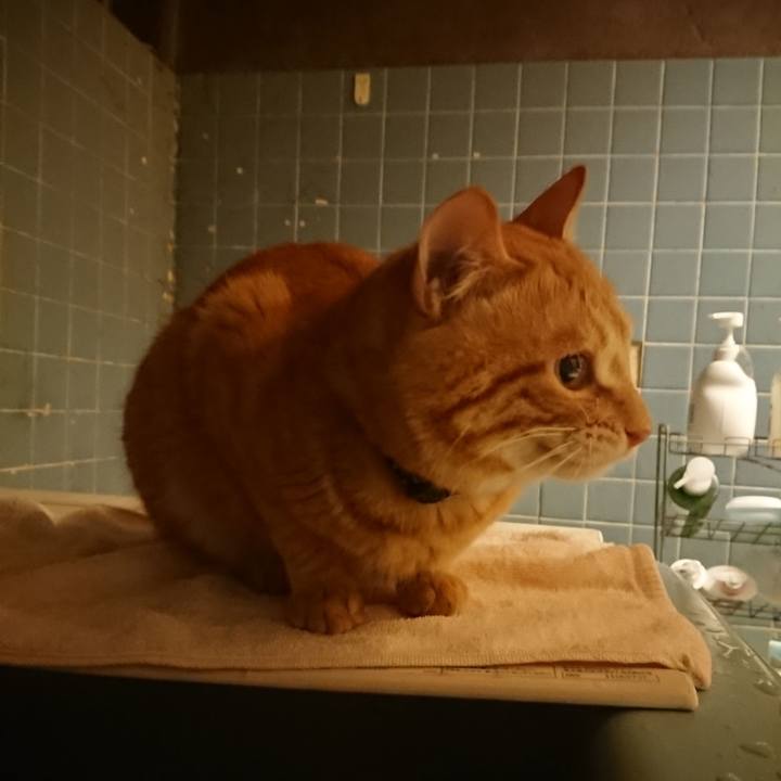 364e3698 e076 4b9b ab72 2a0f2b7a8f0b 1646648877403