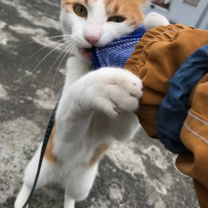 364e41f3 3185 4770 88f7 8560f400611a 1510626875023