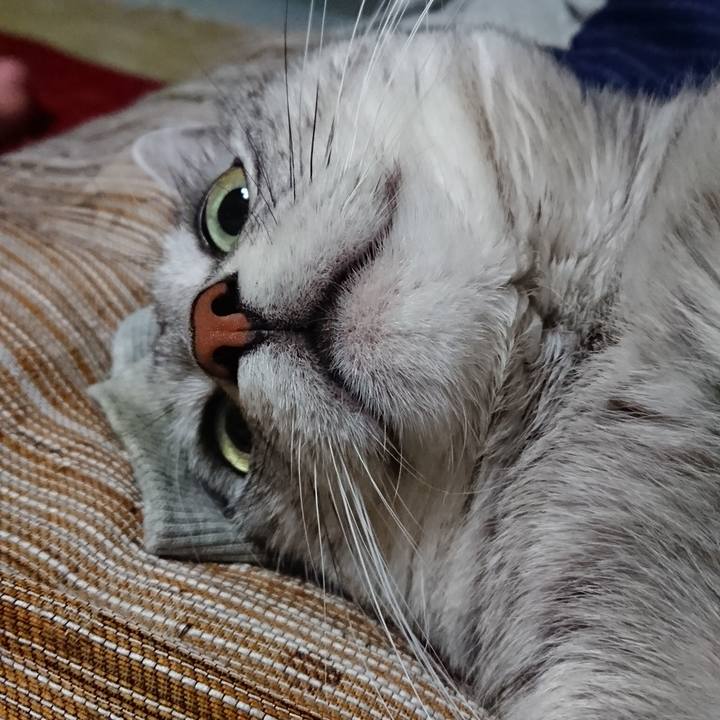 364e47ca b988 45db ab12 d647479d8214 1558020544988