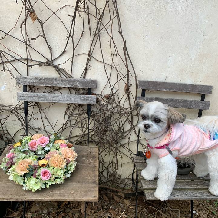 364e594b a3e8 4a1e a11f 29be44a196f0 1582788723250