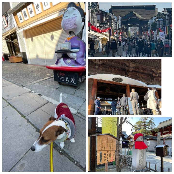 364e60ef 08b2 4f65 80a1 7c92aed86280 1648888511315