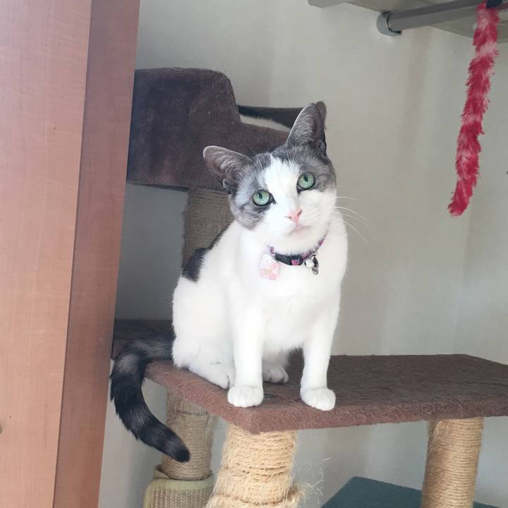 364e7a13 961d 4cd8 ae76 02adc8fe192e 1518653655389