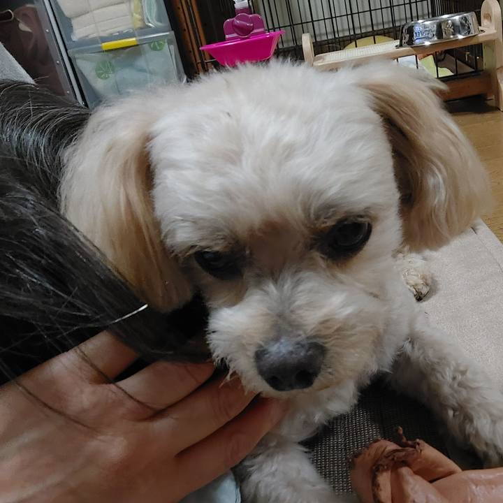 364e9088 415f 446d b9f3 8dd69e3d3bdf 1633600401181