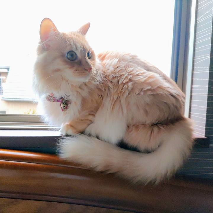 364e9b6f e2ca 4ed7 9a35 95920f4f5882 1673747794626