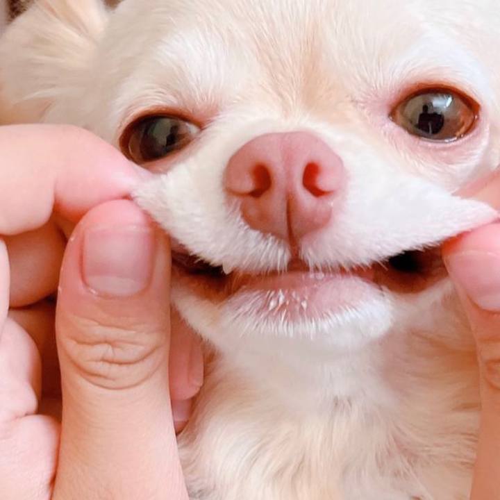 364eb9e3 7d25 4052 8e42 daff1d8fe56d 1691242061429