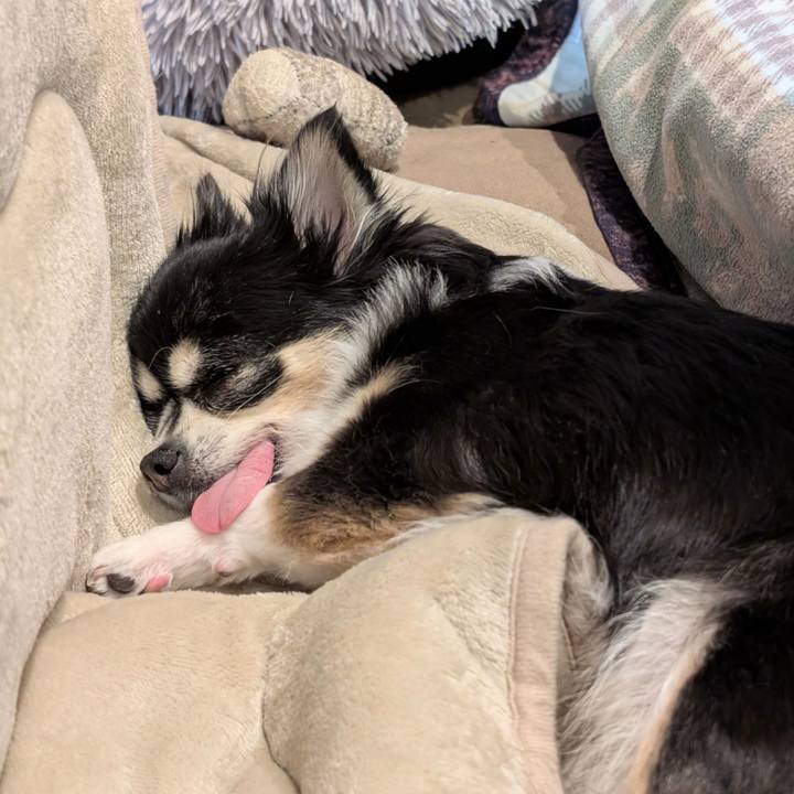 364ec244 f8a5 44dd a446 0f15e286caf4 1771164048993