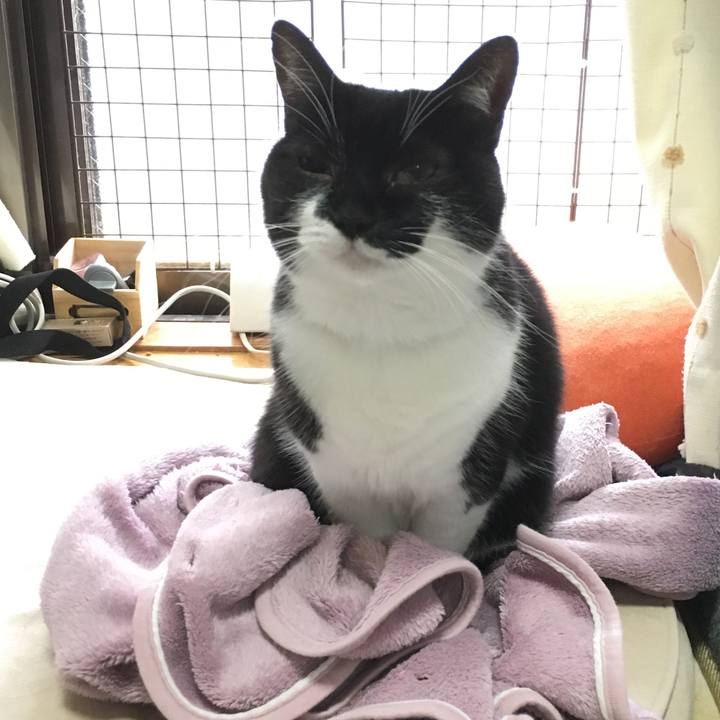 364ed914 45e9 4076 a0a8 1cbd9c570b21 1514090699090