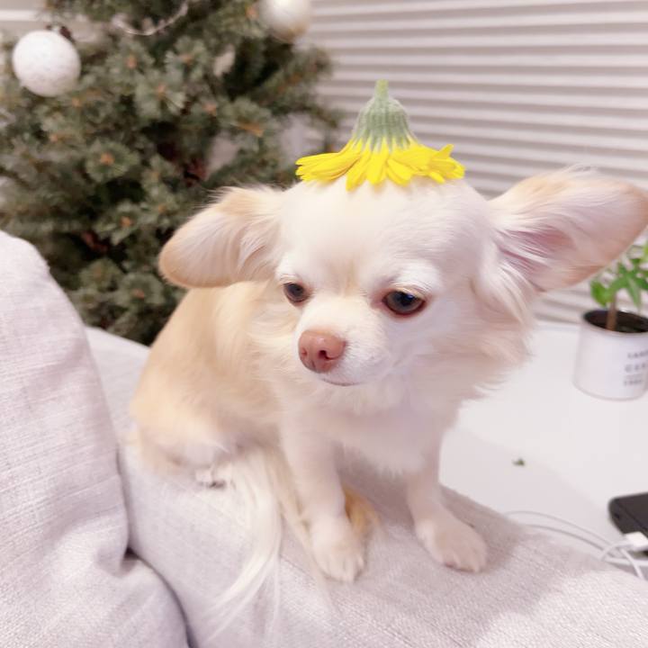 364ee036 8d72 4f25 af7a 86ef2cb4452a 1702031531844