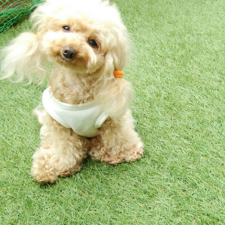 364ef820 4295 4d82 aec6 4fc3af555a30 1555675771495