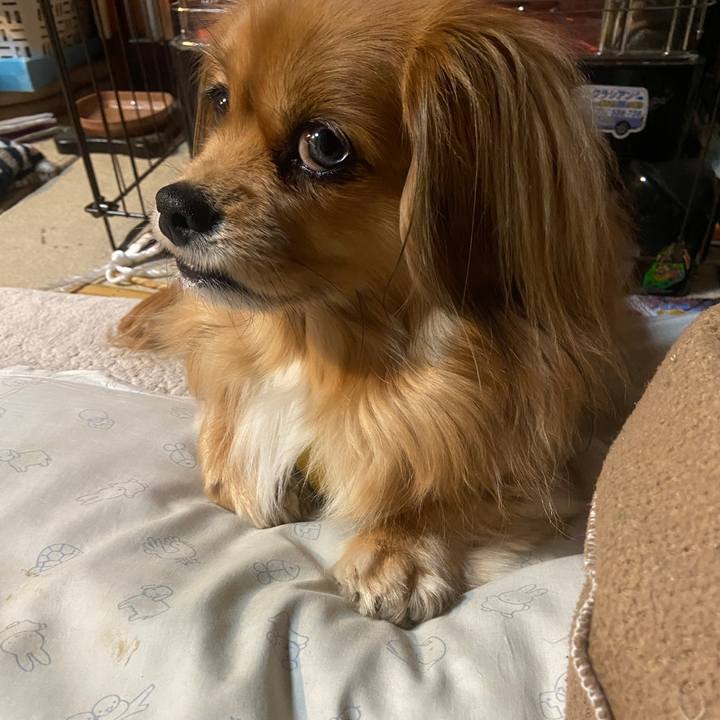 364efd4c 339c 4342 9dbd c7f9c4ba8873 1644356075776