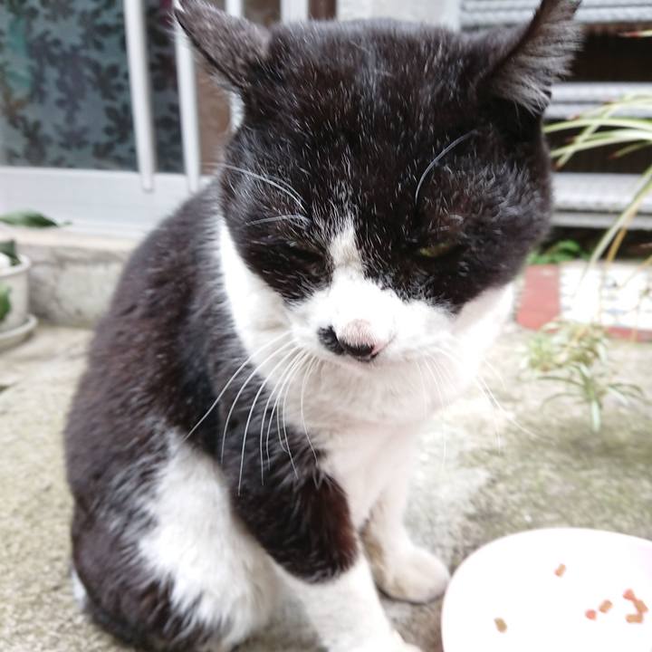 364f4b82 292f 4325 91d0 12d08e732896 1678612674349