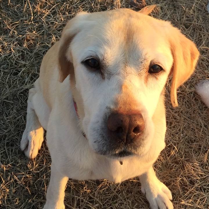 364f4ff7 fa69 470f 82a3 d0ecabce639f 1520596336444