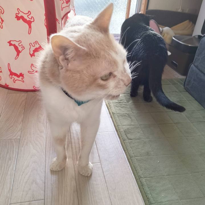 364f6182 fb58 45a4 8807 329330f9db56 1678744927503