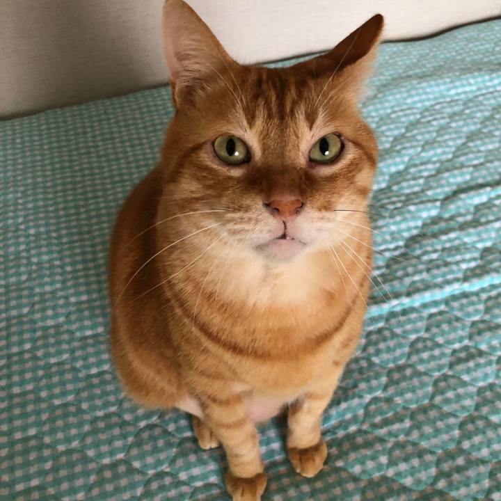 364f68e5 1b43 400f bfe8 060848ddbb40 1658268574824