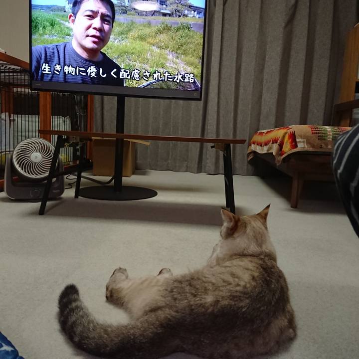 364f6e5a 8443 4f01 8c79 92abf5f3ac19 1597838618549