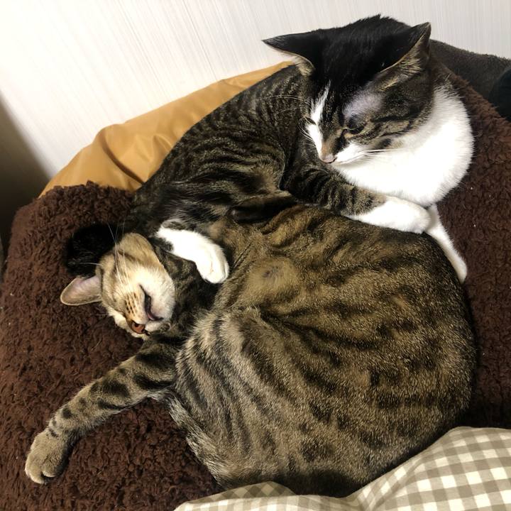 364f7d5f 3805 4d6c a12a fc1aca435e2e 1616360042445