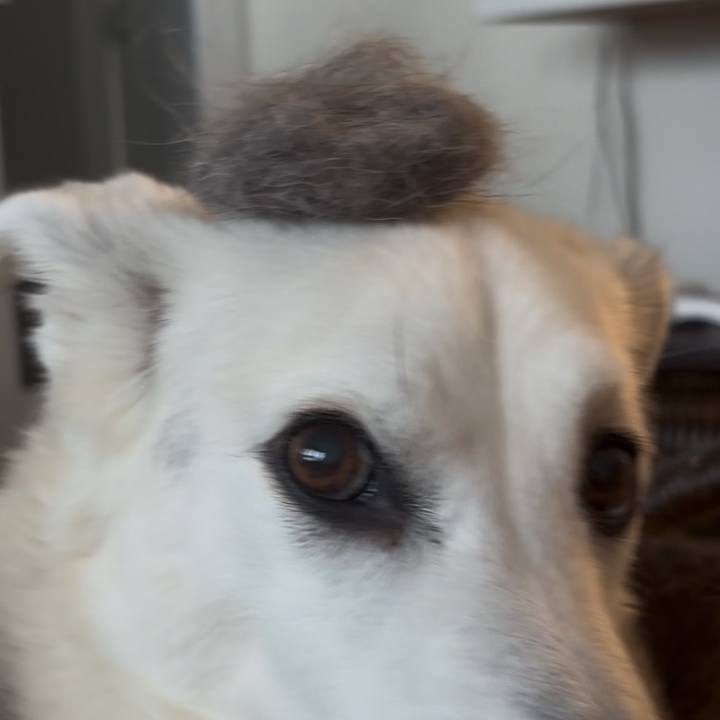 364fb5d0 ad7f 4edb bb35 0936ad8617c8 1739883715778