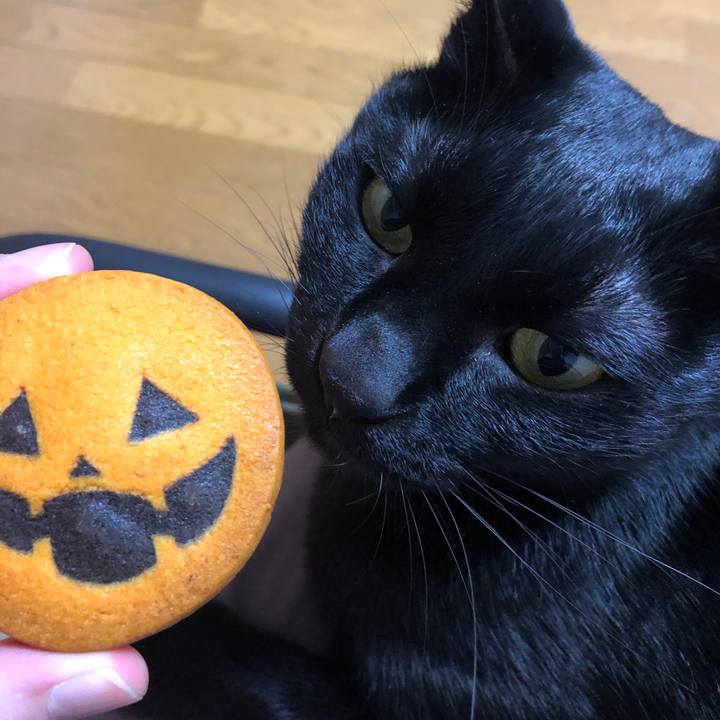 364fcdac e335 4fa8 ac55 d0a4659ea193 1698661632742